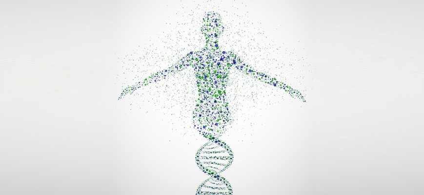 GeneticsHeader